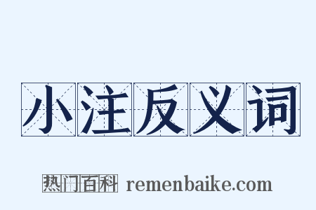 小注反义词是什么意思的图片